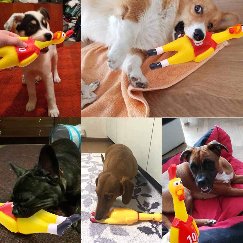 POPLAY 14-Inch Rubber Chicken Squeaky Toy – Durable Latex Prank & Fun for All Ages