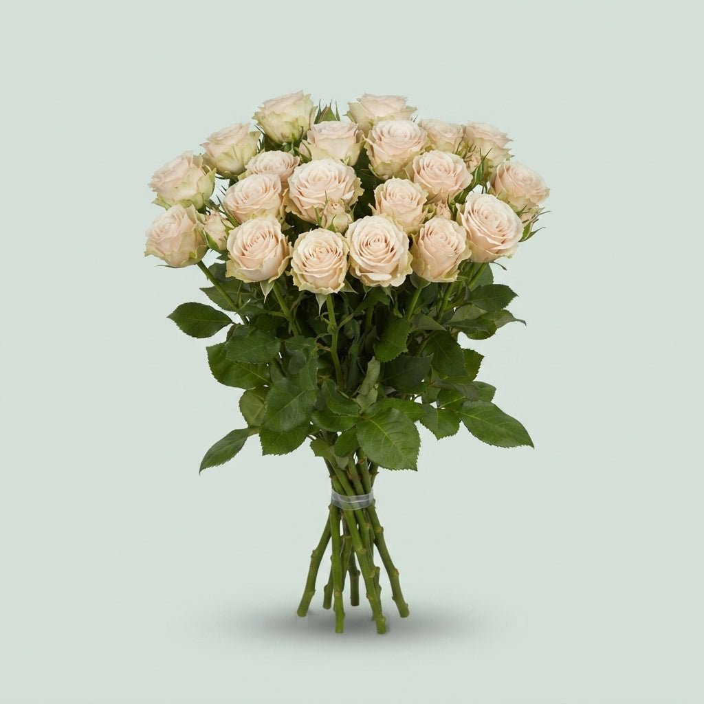 Spray Rose - Rosa - Whitney