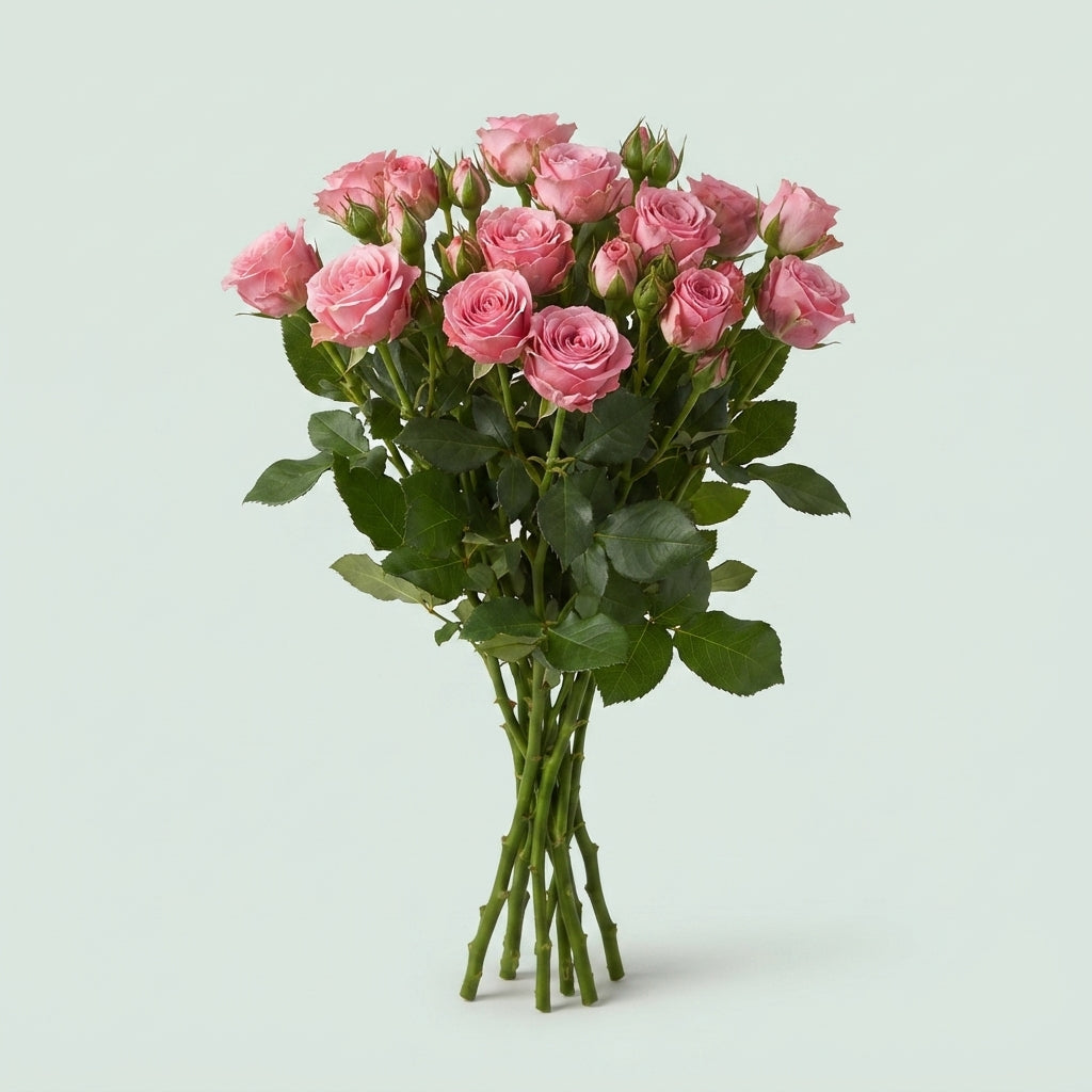 Spray Rose - Rosa - Tralala