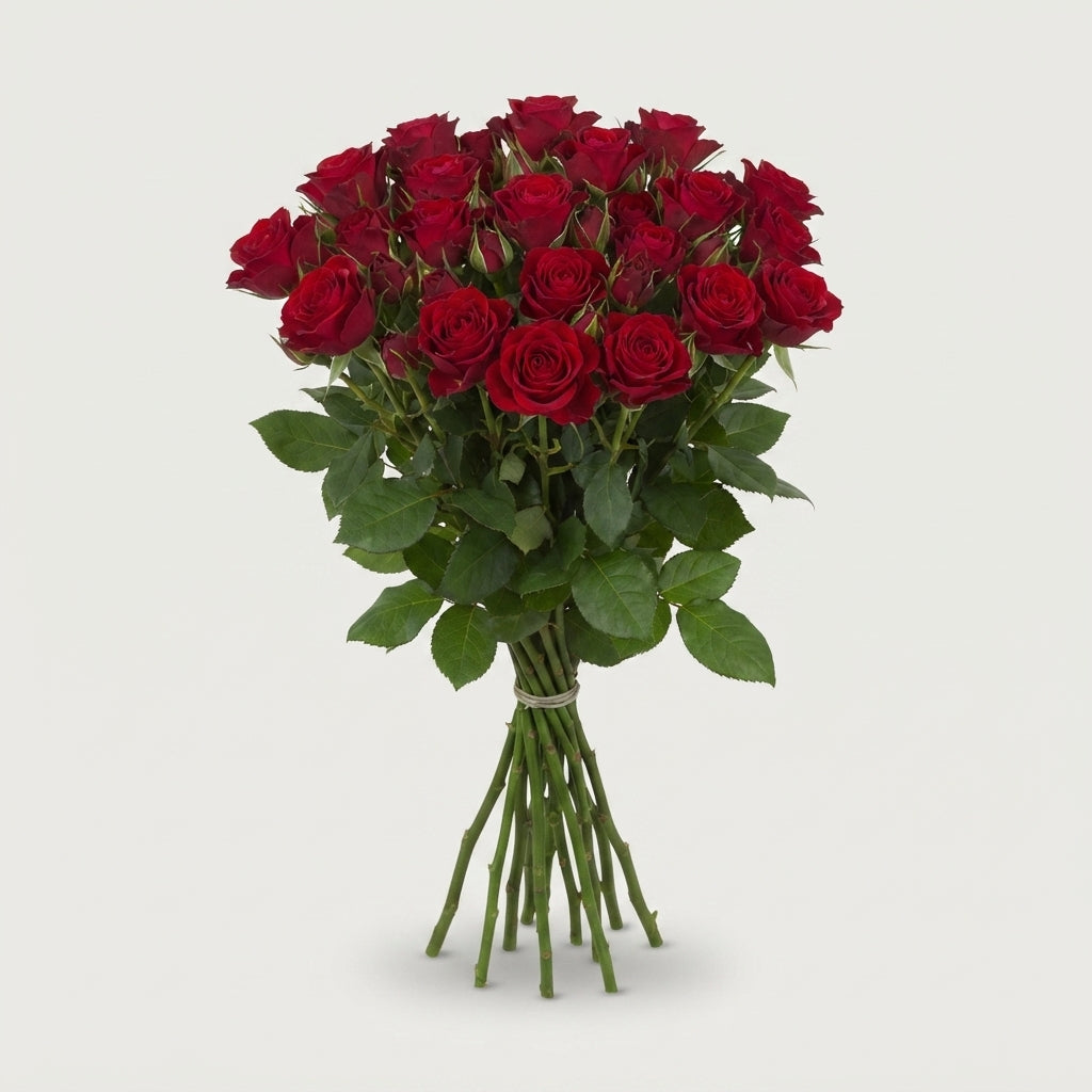 Spray Rose - Rosa - Red Trendsetter