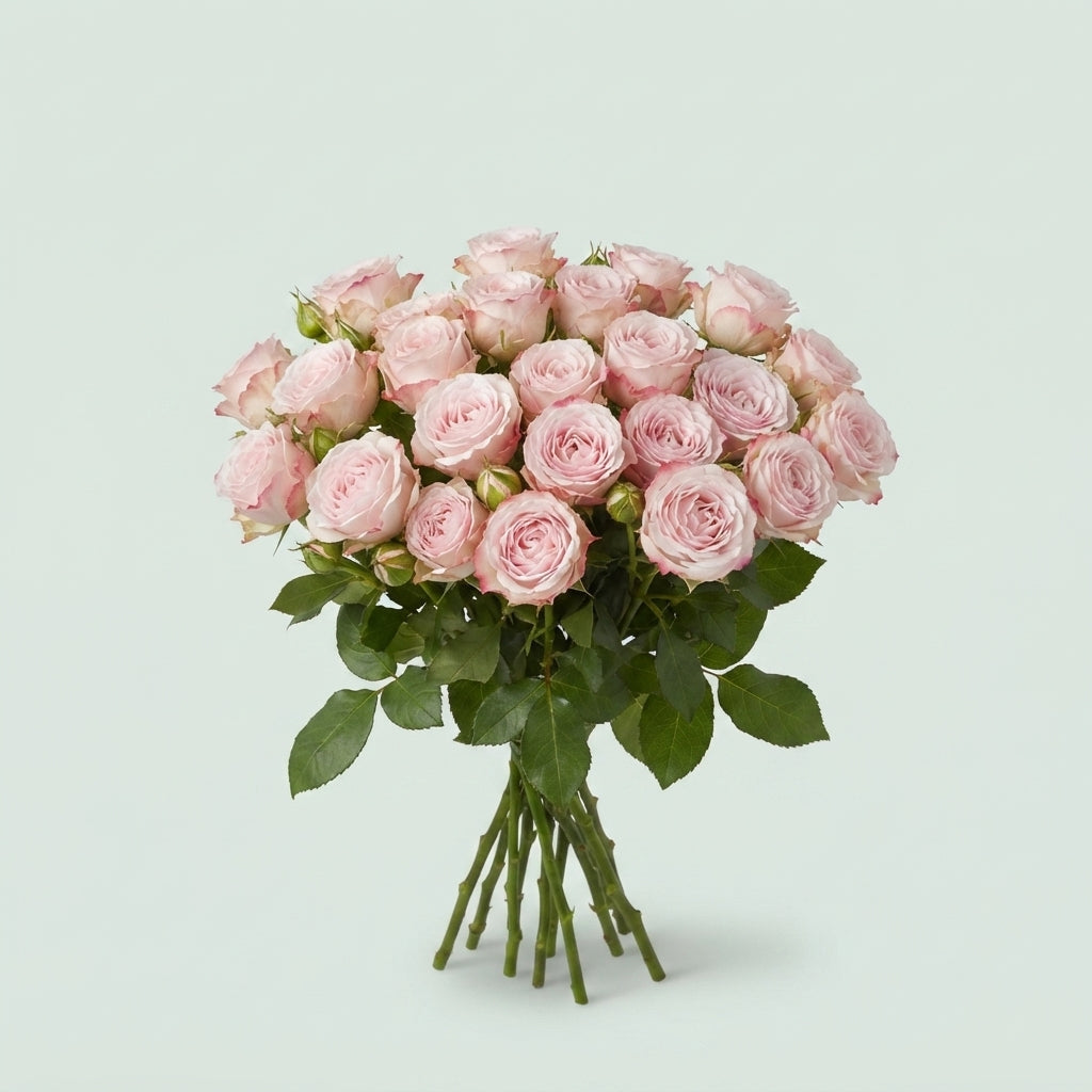 Spray Rose - Rosa - Loves Me with Fatal Attraction