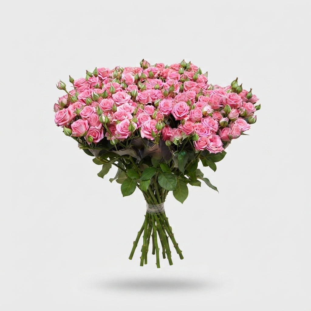 Spray Rose - Rosa - Emilia