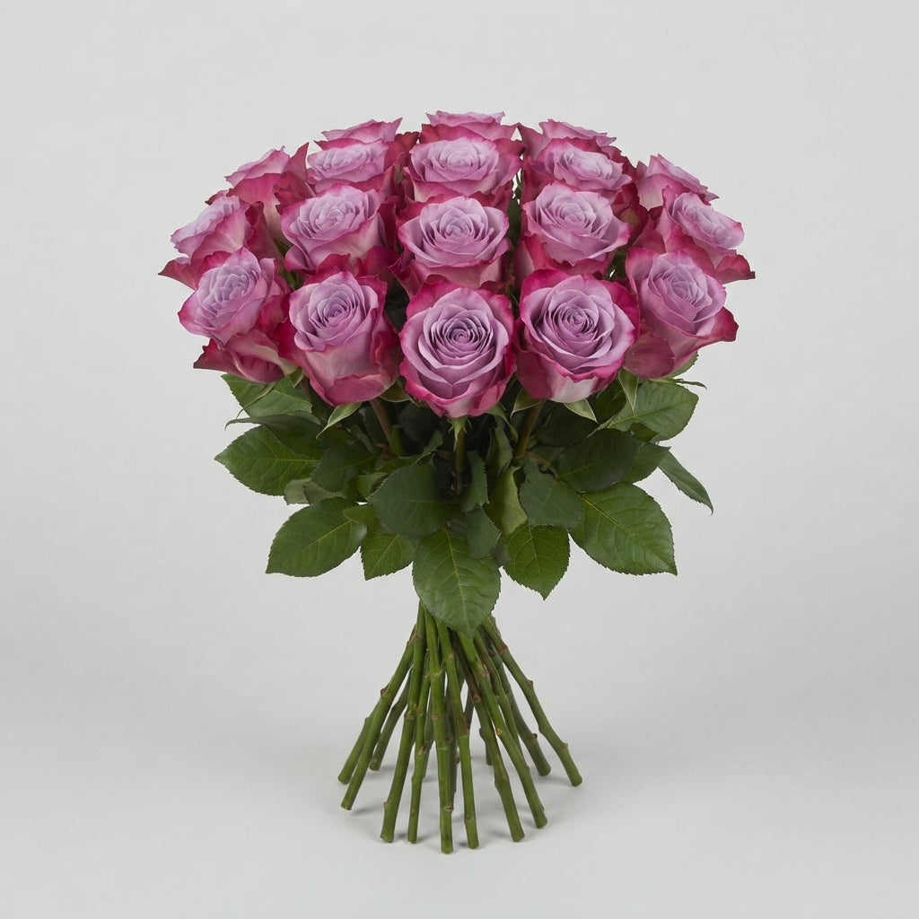 Rose - Rosa - Thriller