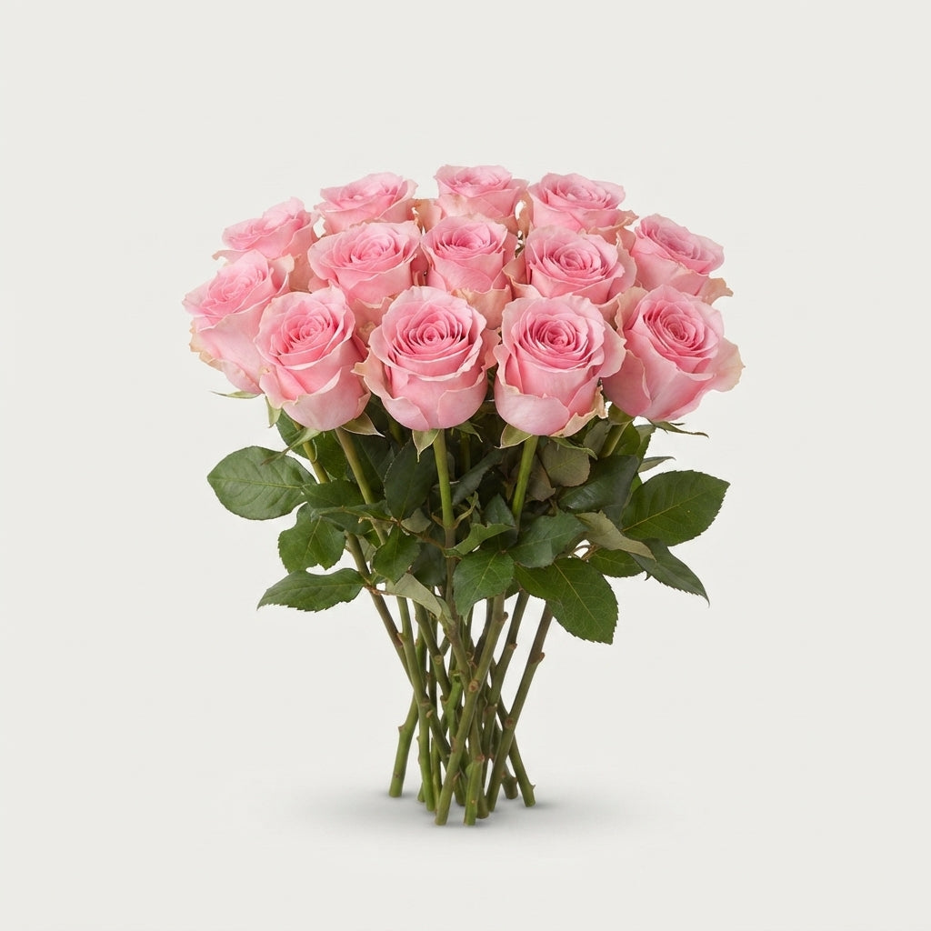 Rose - Rosa - Seductive
