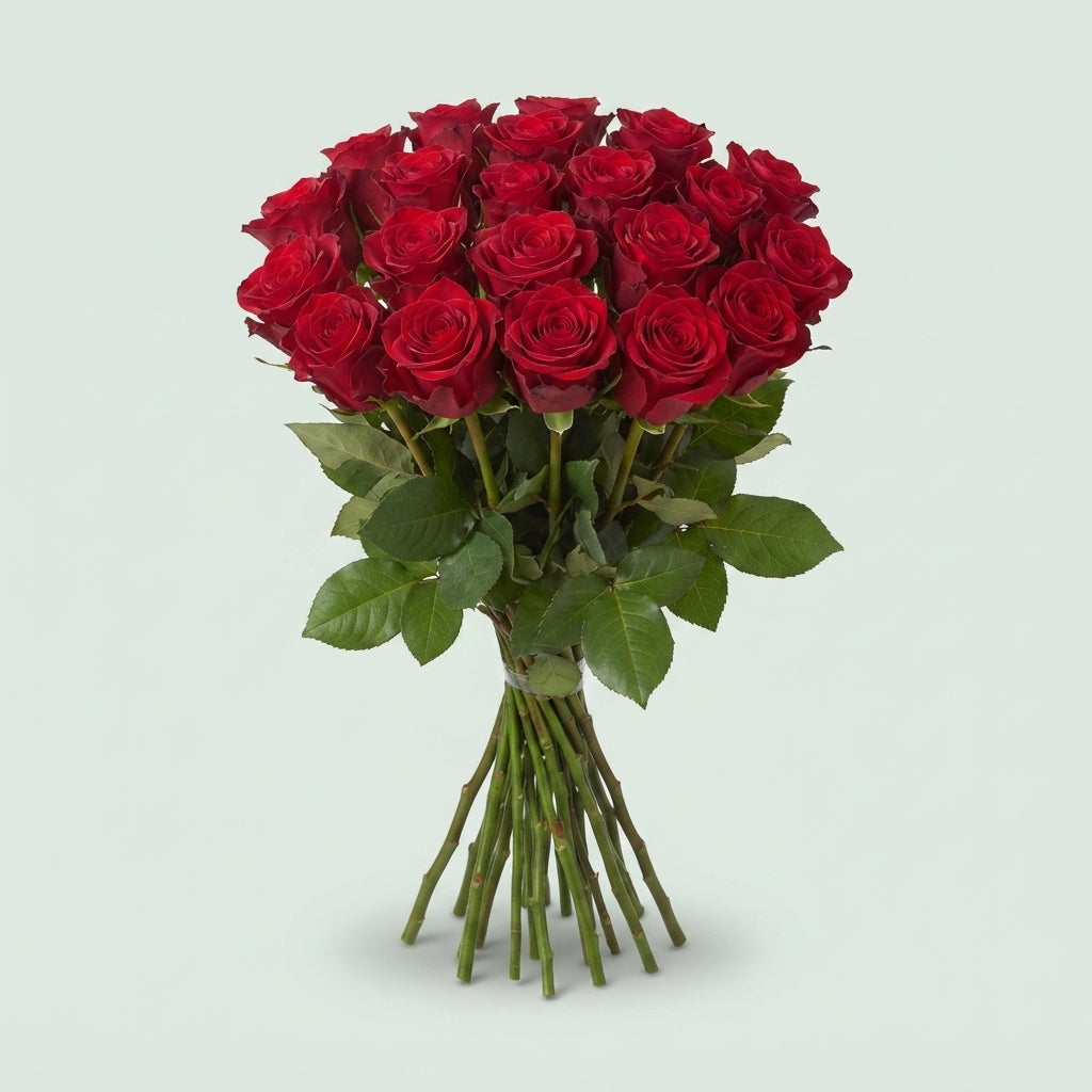 Rose - Red Ribbon
