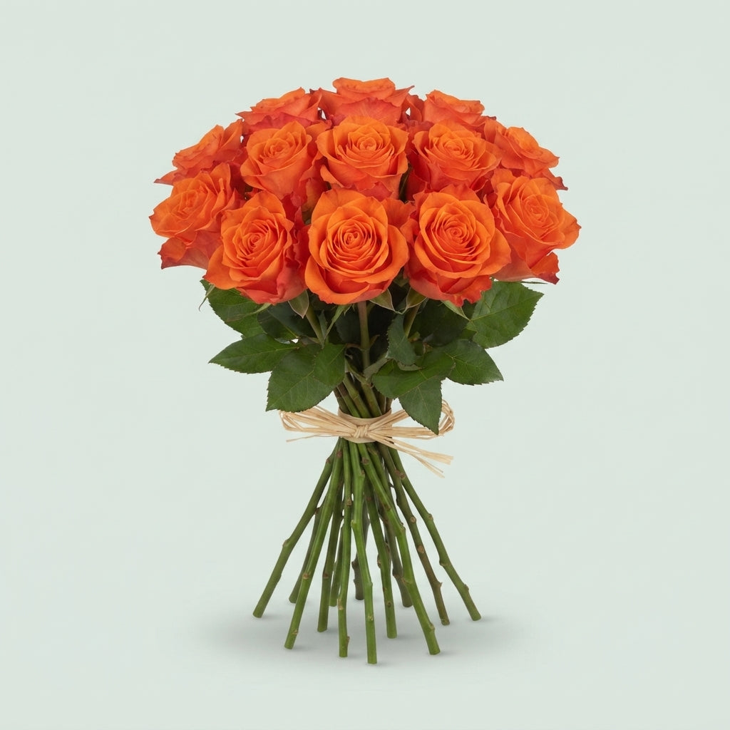 Rose - Rosa - Orange Wave
