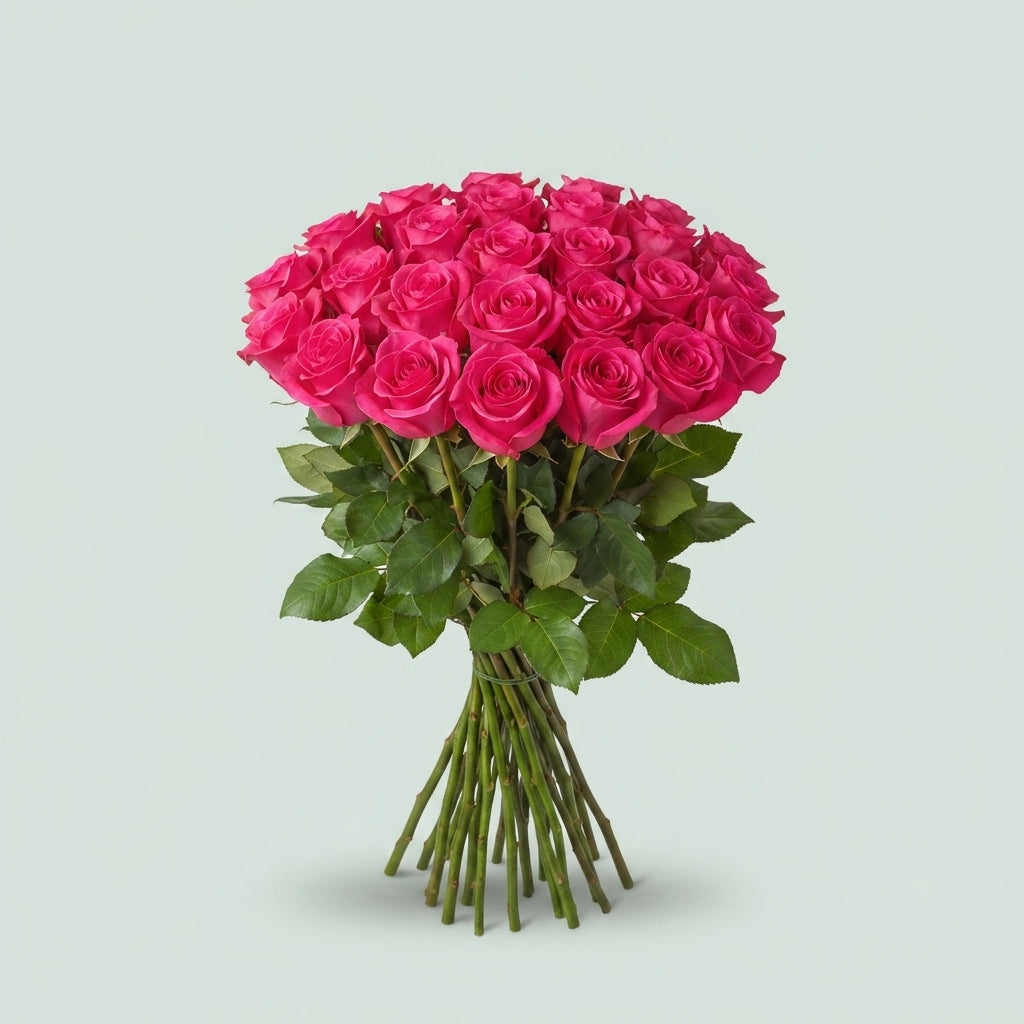 Rose - Rosa - Pink Floyd