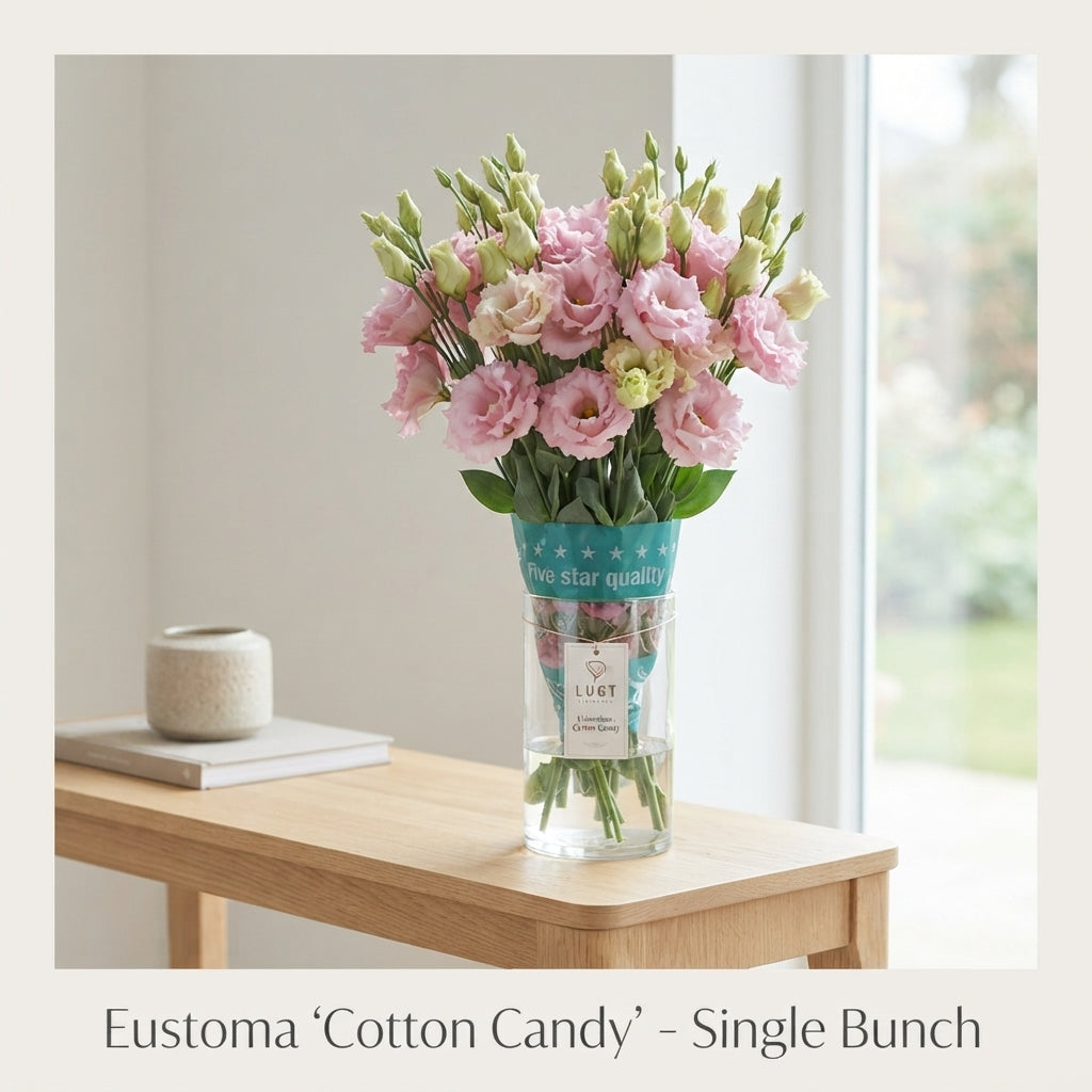 Pink Eustoma ‘Cotton Candy’ – 70cm Stems