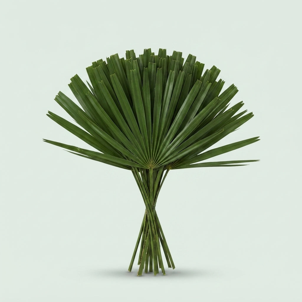 Chamaerops Foliage - Plastic
