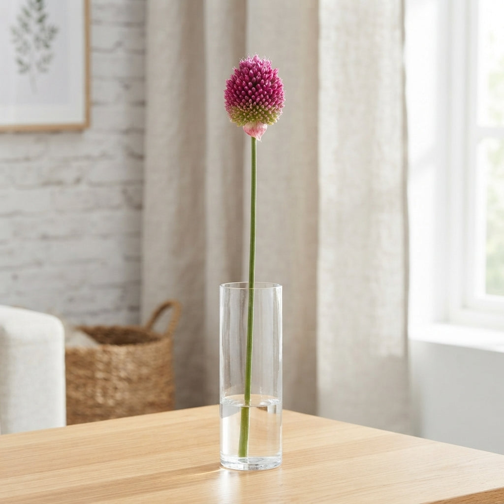 Pink Allium Sphaerocephalon – 80cm Stems