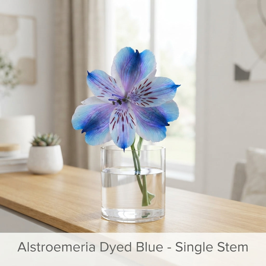 Alstroemeria Dyed Blue