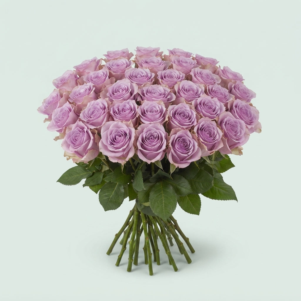 Rose - Rosa - Lovely Aqua