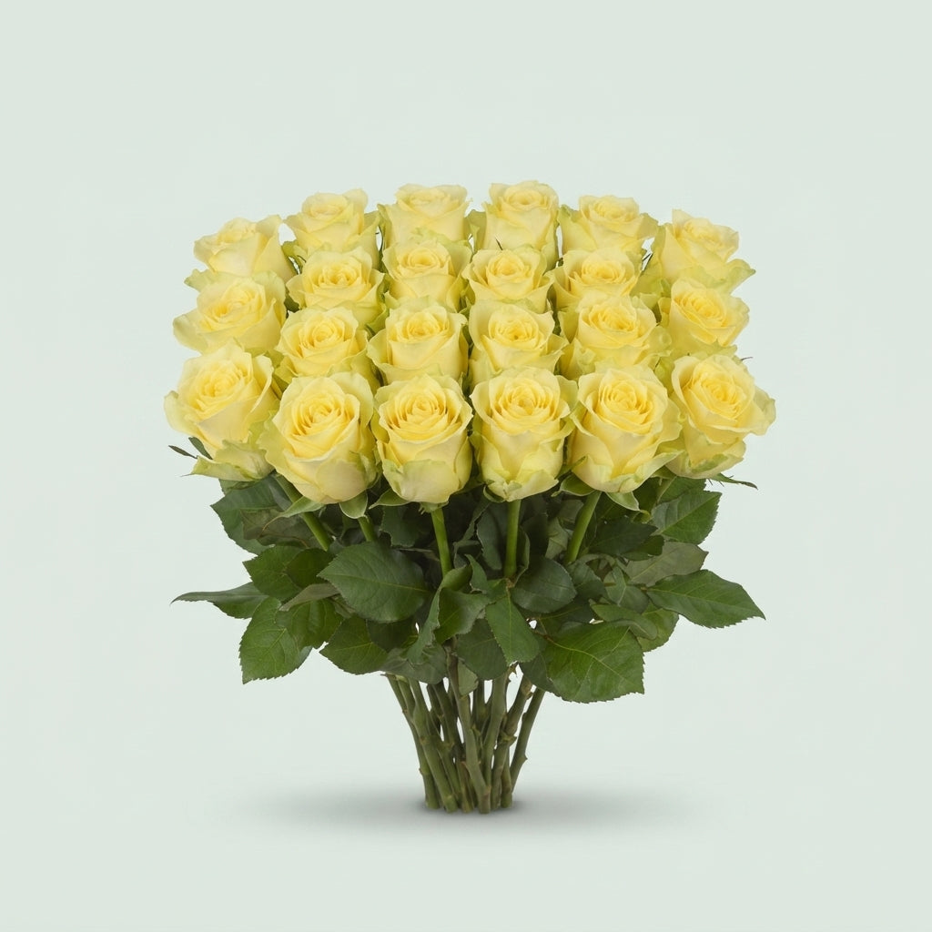 Rose - Rosa - Minion Rose