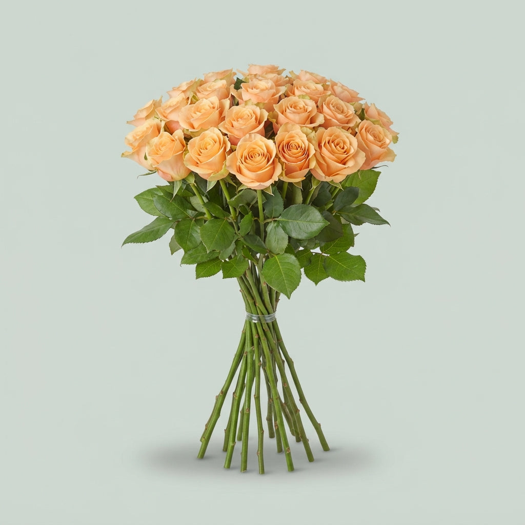 Rose - Carpe Diem