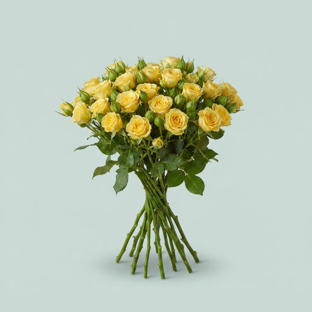 Spray Rose - Rosa - Bandolero