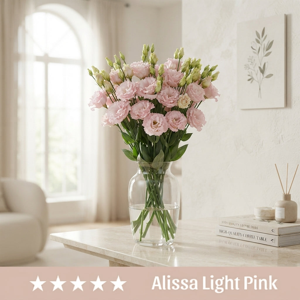 Light Pink Lisianthus (Eustoma) – 70cm Stems