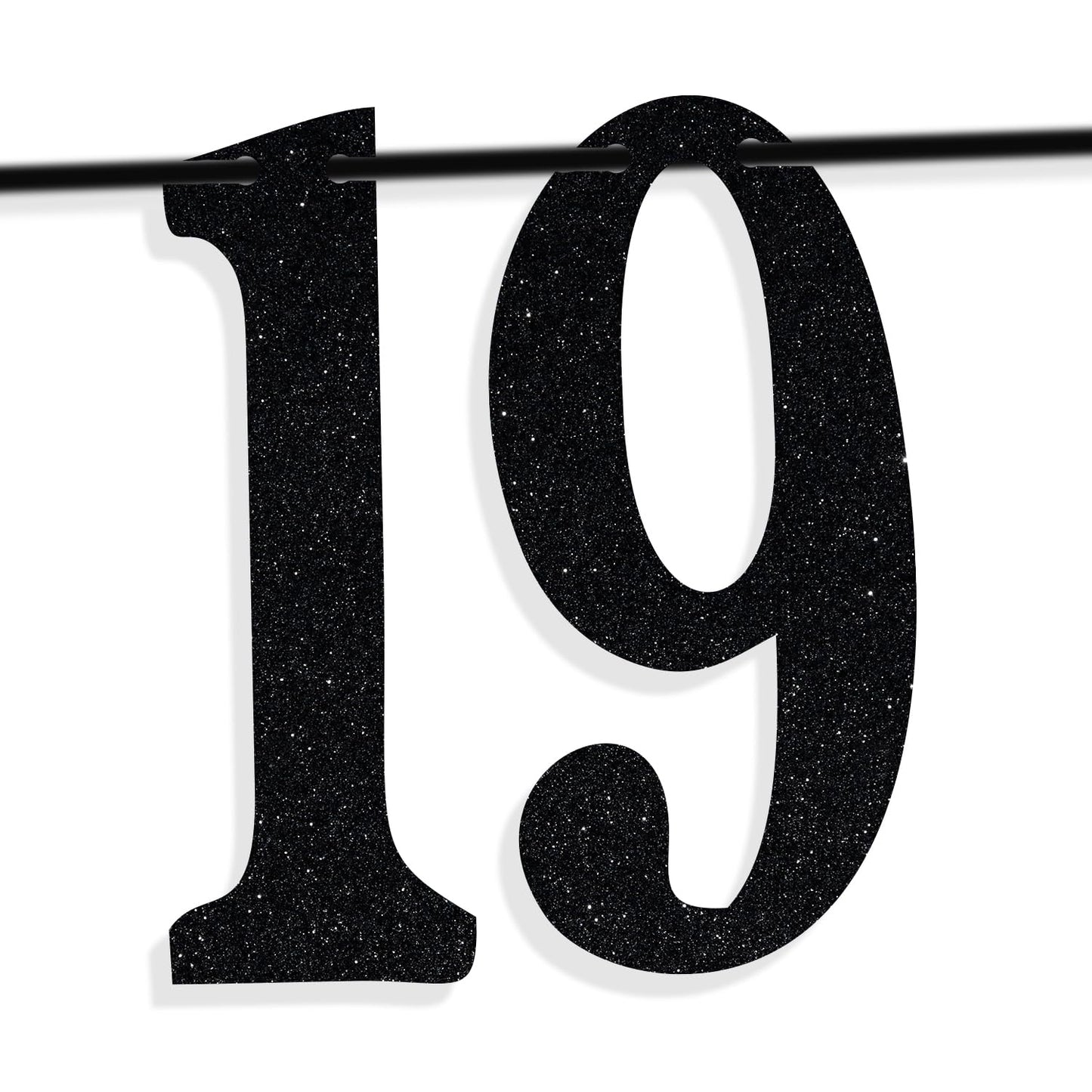 PYBHILK Black Glitter Banner – Look at You Turning 19 & Sh*t | 19th Birthday Decor