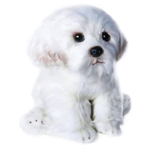 QREZAA 14-Inch Realistic Maltese Dog Plush – White Stuffed Animal Pillow