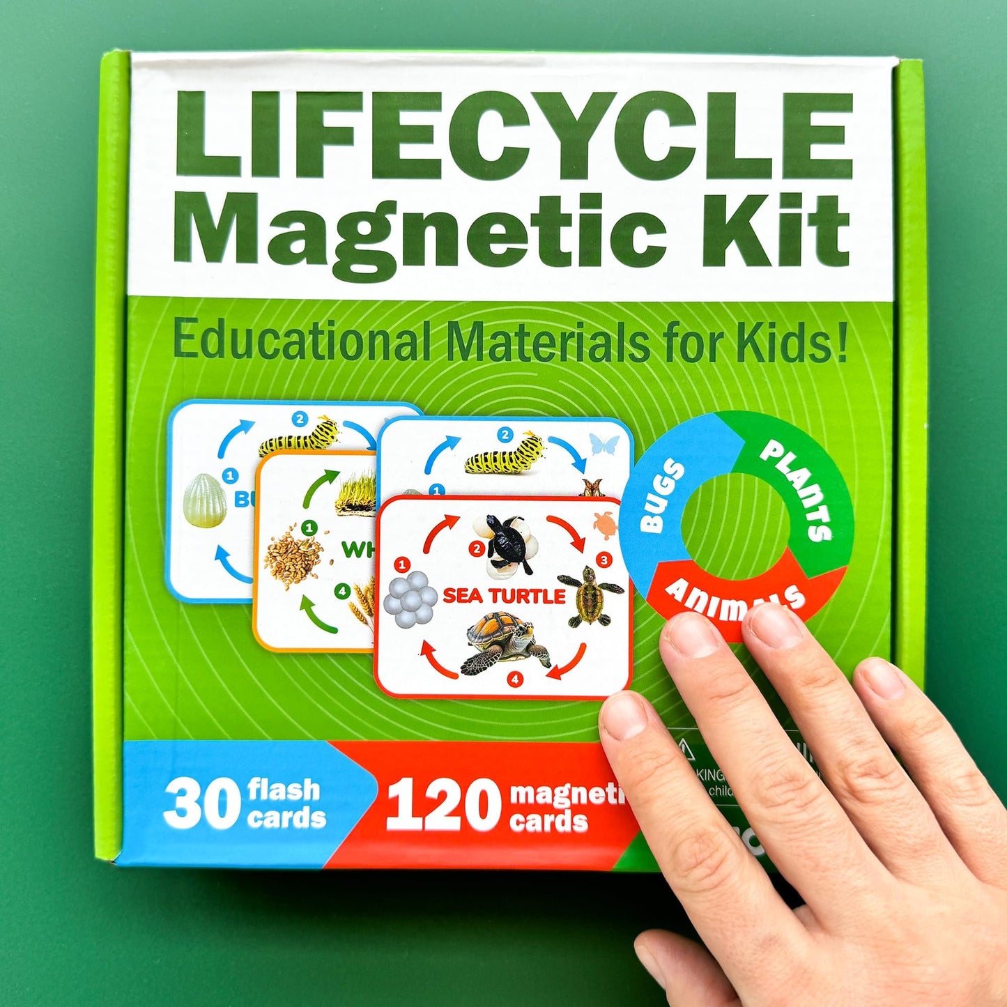 QUOKKA Life Cycle Kit Montessori – 120 Magnetic Cards for Toddler Science (Ages 2-4)