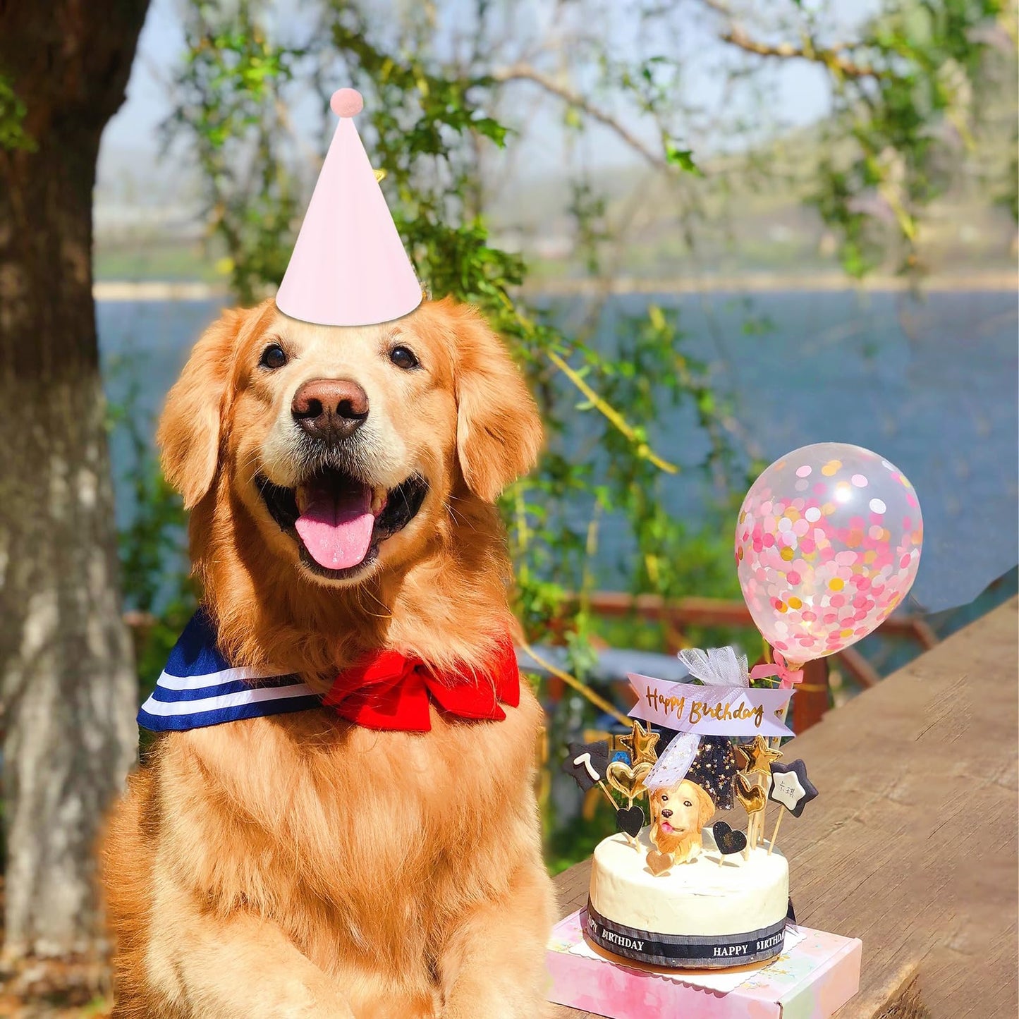 QZV 24 Pack Pastel Birthday Hats
8-Color Cone Party Hats