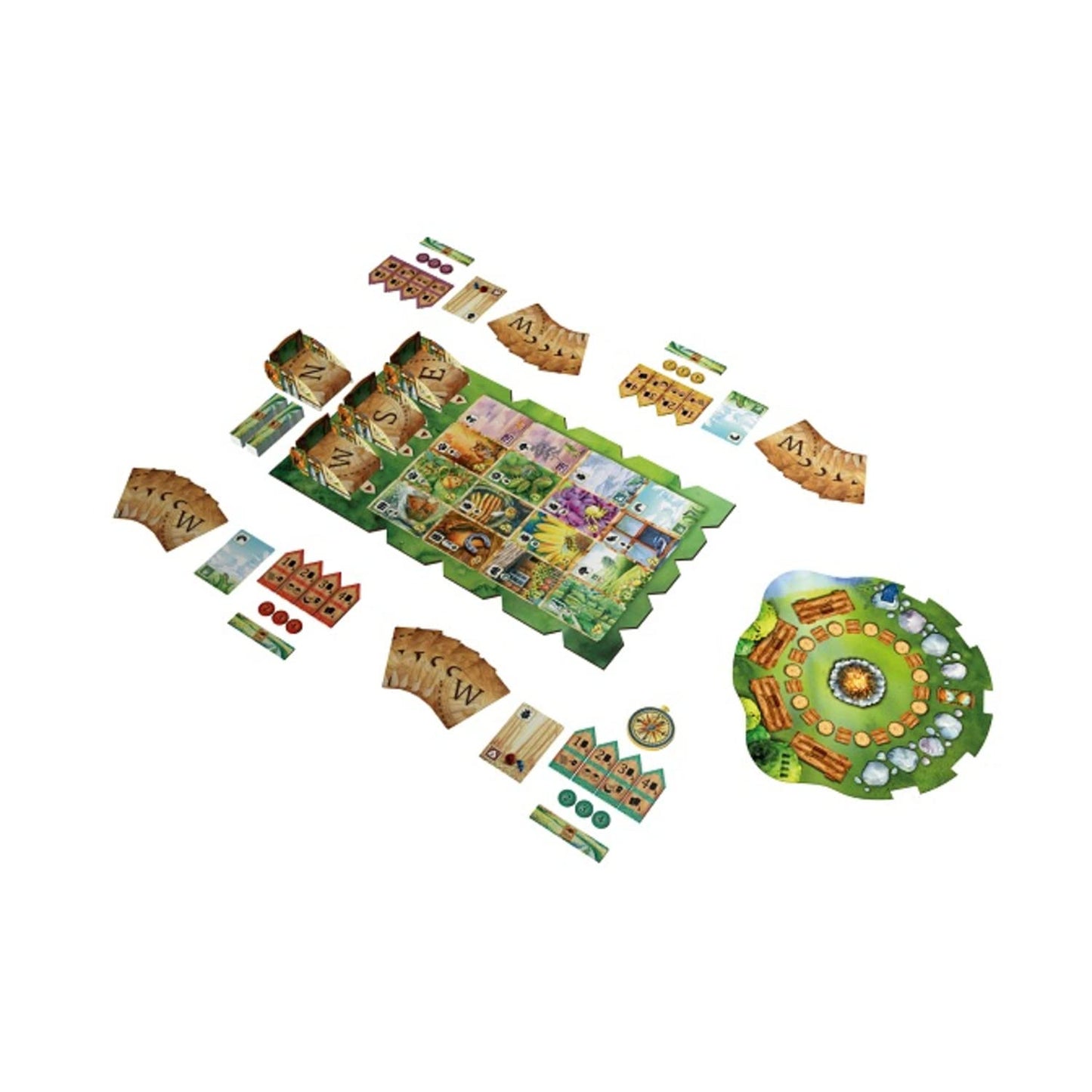 Meadow Board Game by Rebel Studio — Nature Observing Drafting & Set Collection (1–4 Players, 60–90 Min)