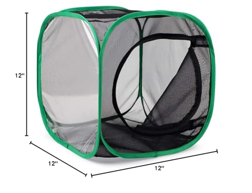 RESTCLOUD Insect and Butterfly Habitat Cage Terrarium – Pop-Up 12 x 12 x 12 Inches
