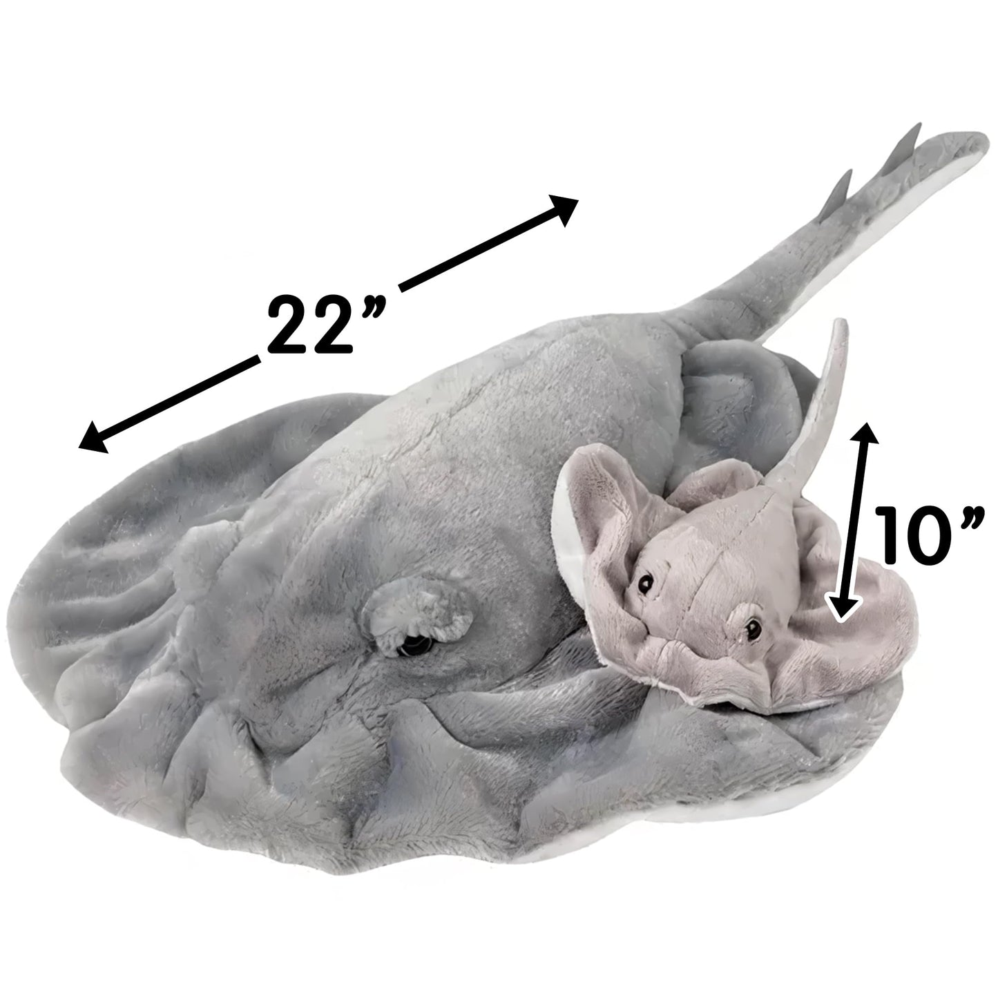 Adventure Planet Birth of Life Stingray with Baby Plush 22-Inch Toy | Rhode Island Novelty
