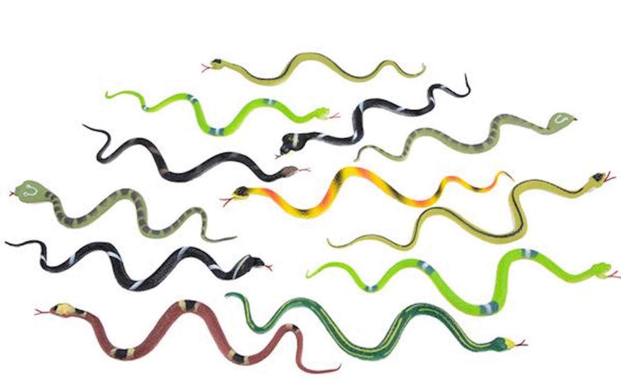 Rhode Island Novelty 6-Inch Rain Forest Snakes | 12-Pack