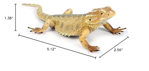 Rich Boxer 5'' Lizard Figurine – Home Decor & Gift for Reptile Lovers