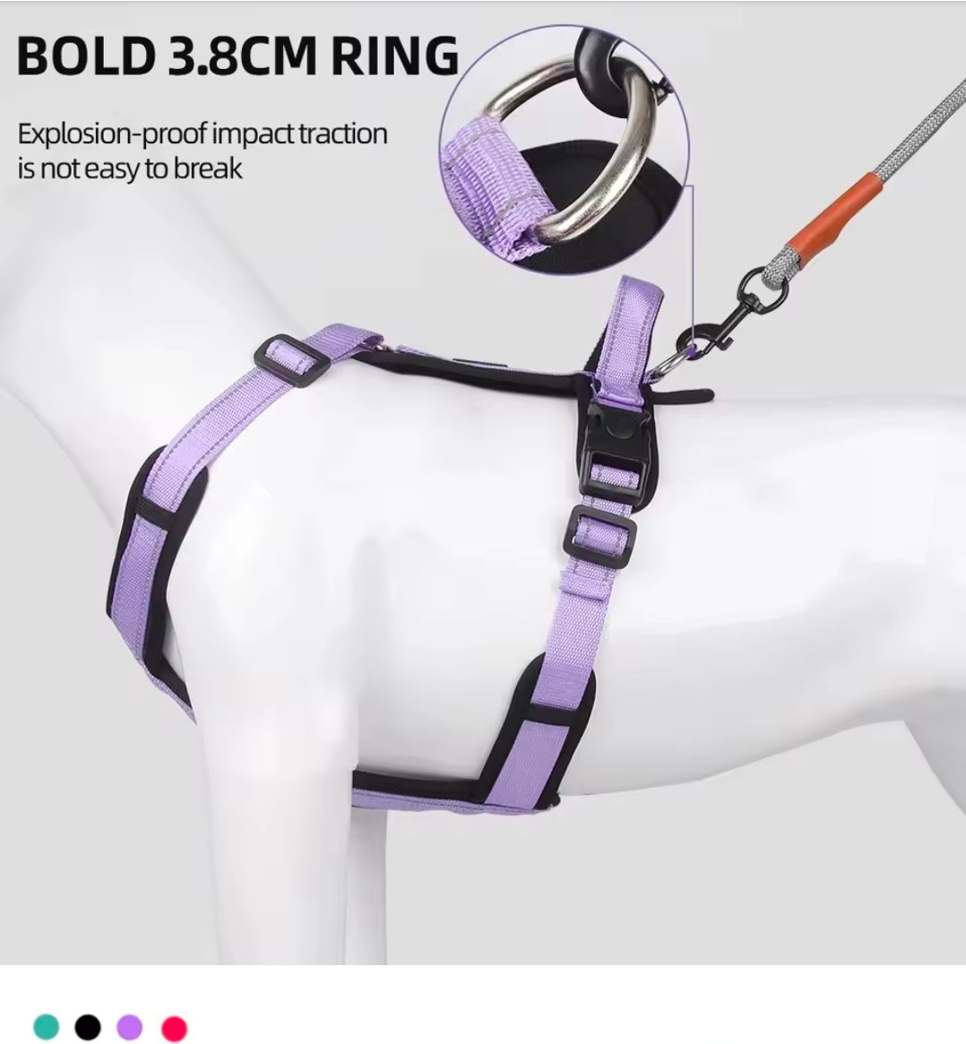 The North East Pet Shop Harness Vest