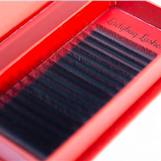 4D Clover Lash Single Length
