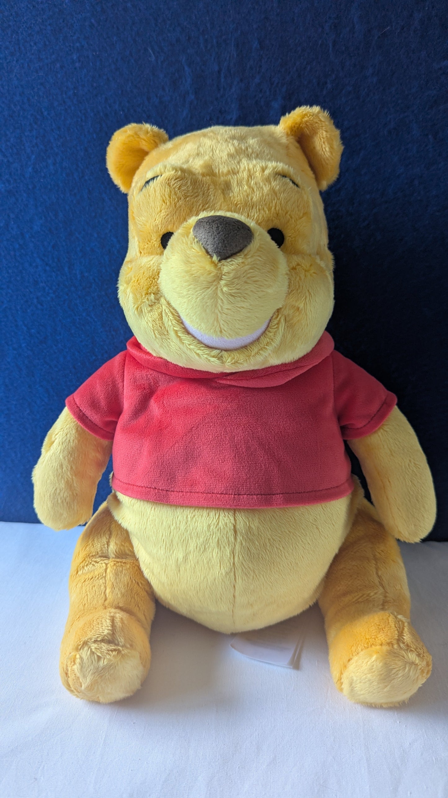 Disney Store Winnie the Pooh 14" 35cm Plush