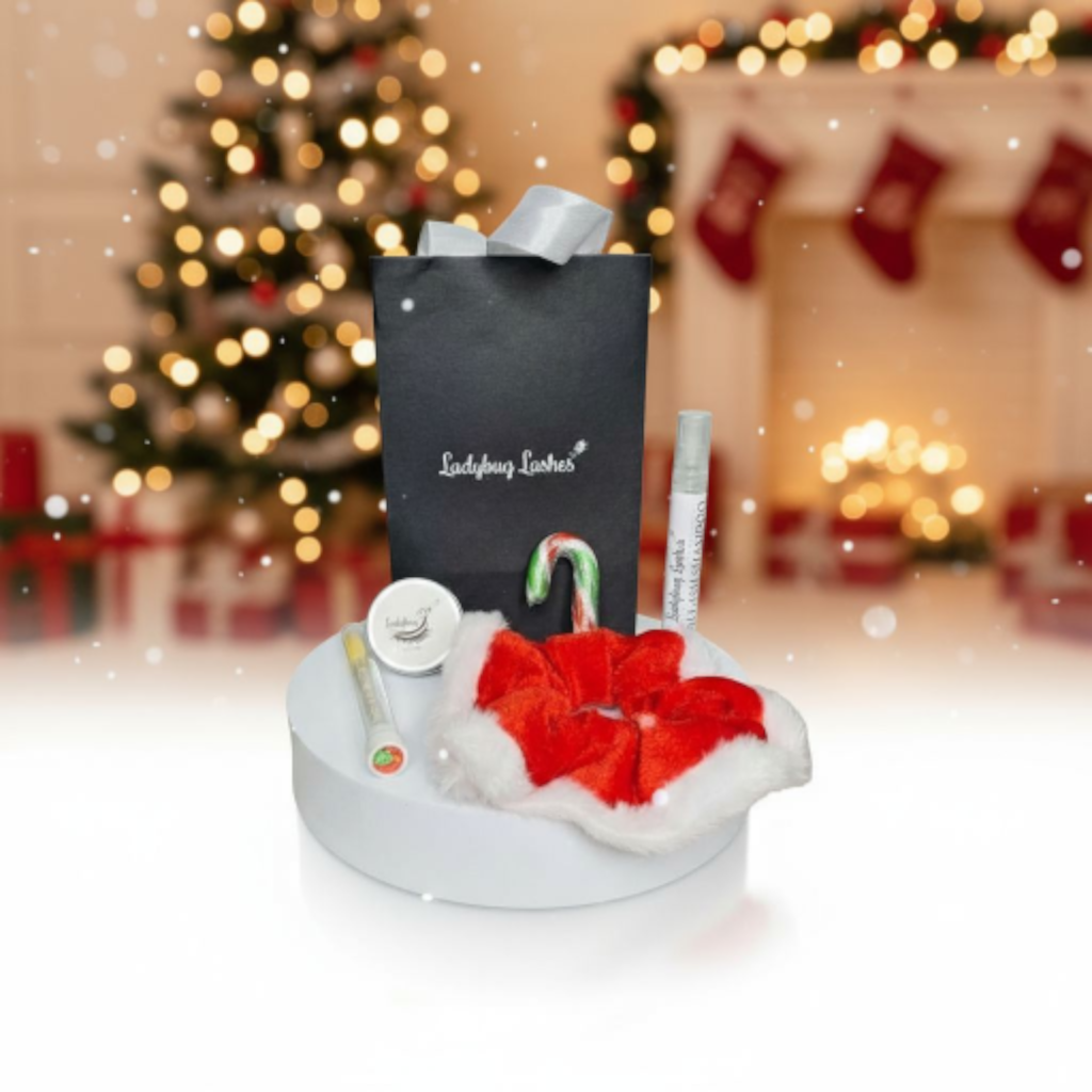 Christmas Gift Bag