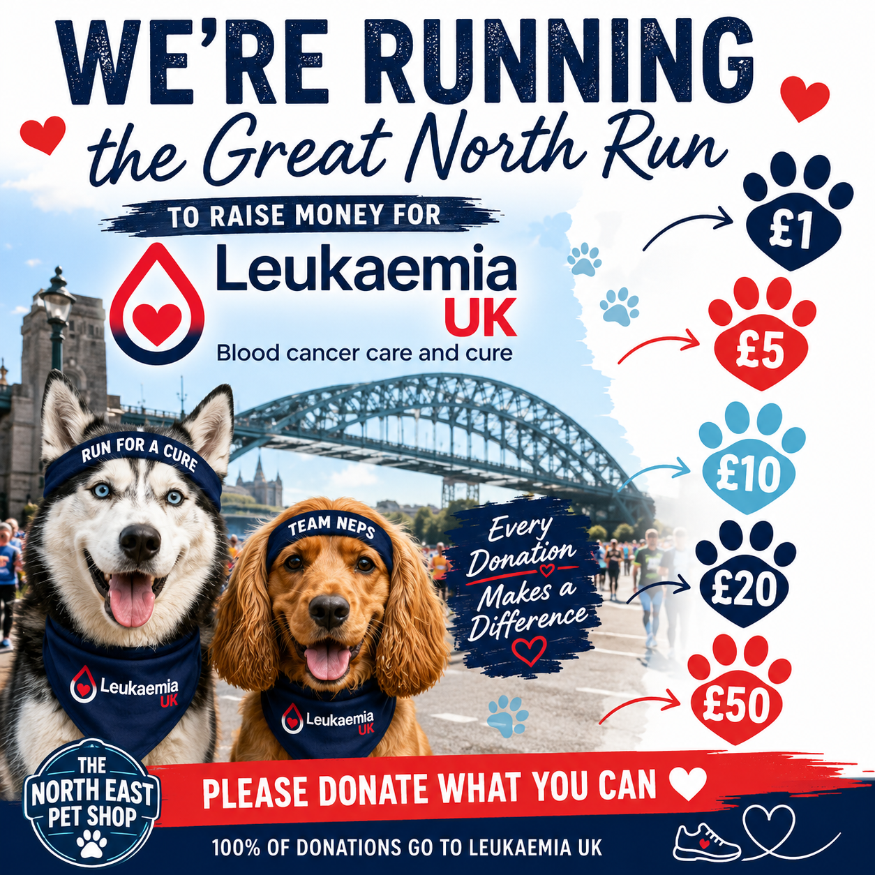 Donation to Leukaemia UK | Great North Run Fundraiser ❤️🏃♂️