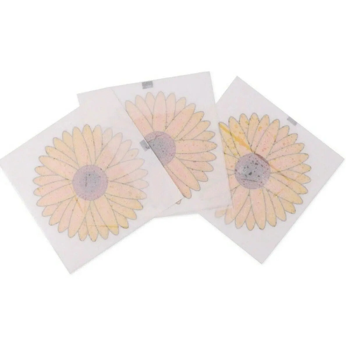 Window Sticker Fly Trap Insect Killer Paper Sticky Bug Catchers Indoor Outdoor