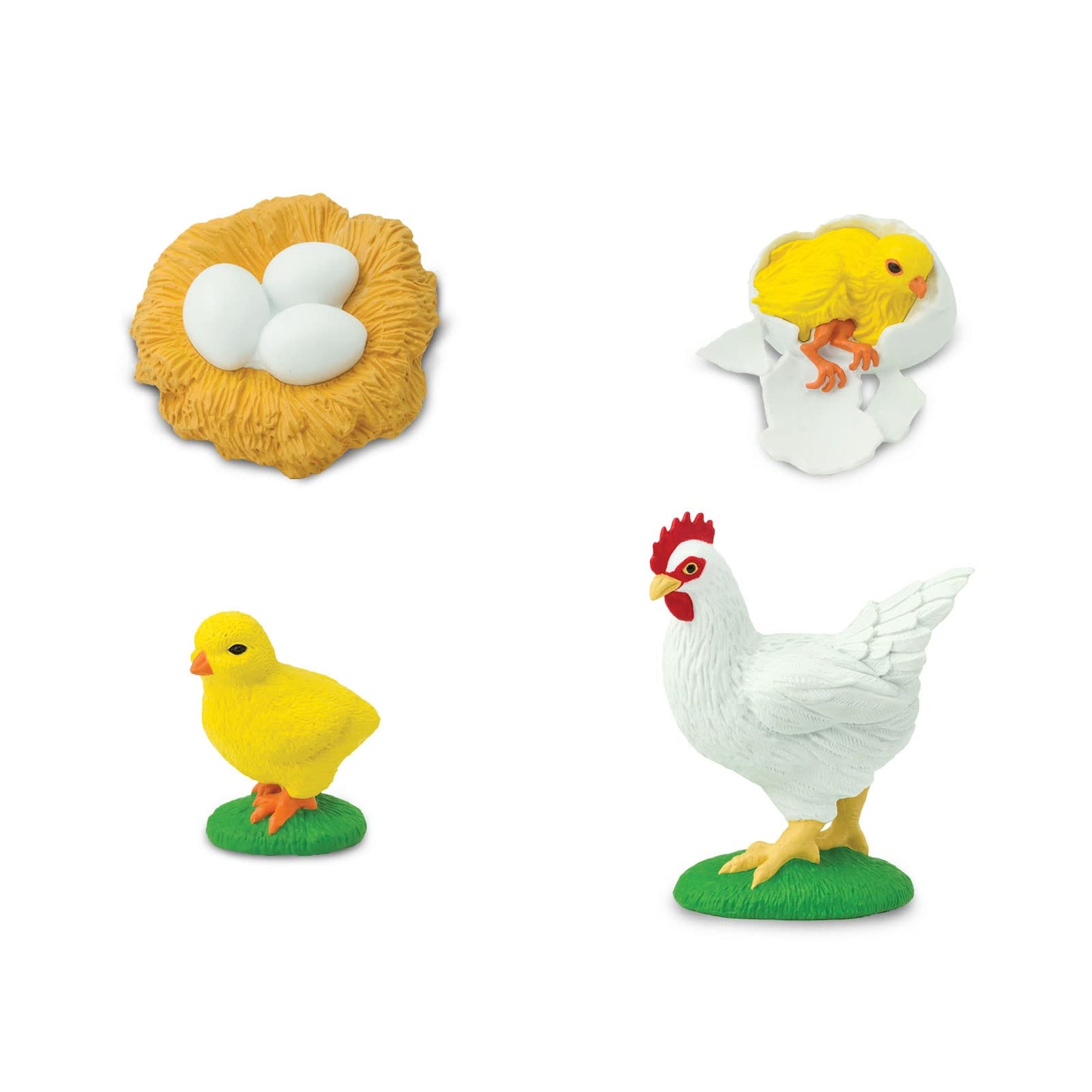 Safari Ltd. Life Cycle of a Chicken – Educational Toy Figurines for Kids 4+