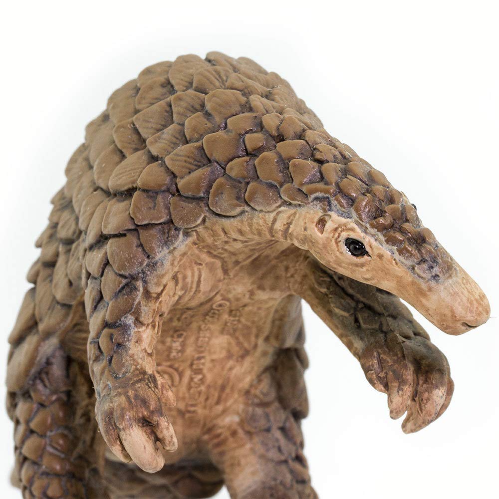 Safari Ltd. Pangolin Figurine - Realistic 7-Inch Figure for Ages 3+
