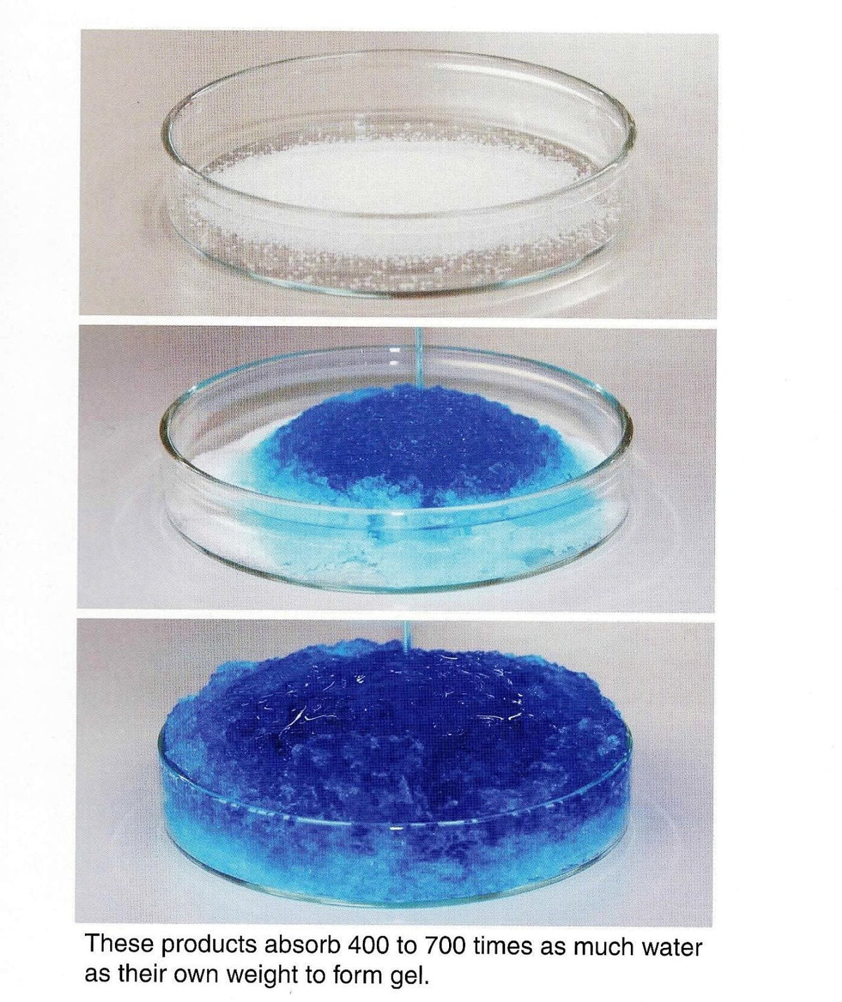 Science Gone Fun 50g Sodium Polyacrylate | Superabsorbent Diaper Polymer for Experiments