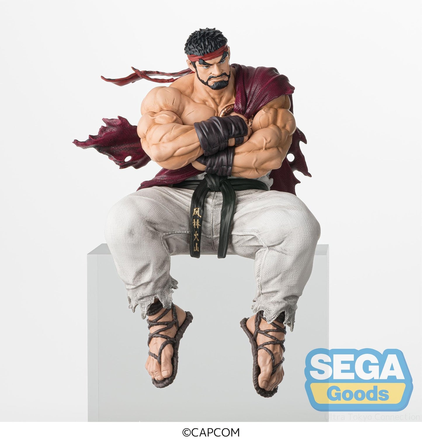 SEGA Street Fighter 6 PM Perching Figure Ryu – Official Licensed Collector's Item