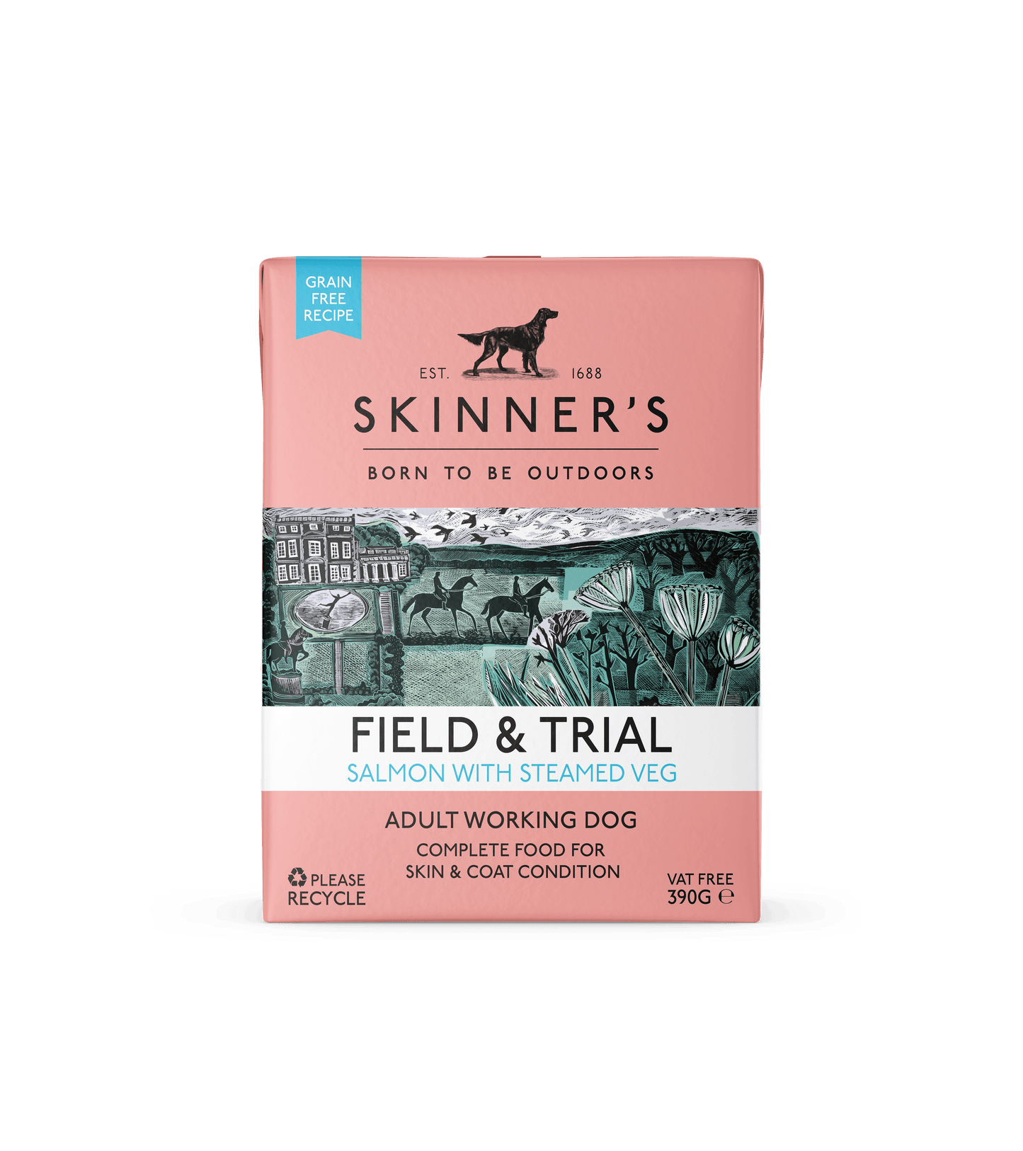 Skinners Field & Trial Adult Grain Free Salmon 18x390g