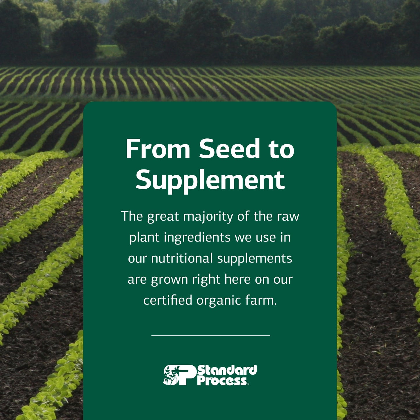 Standard Process Renafood - Kidney Support with Vitamin A, Non-Soy, 180 Tablets