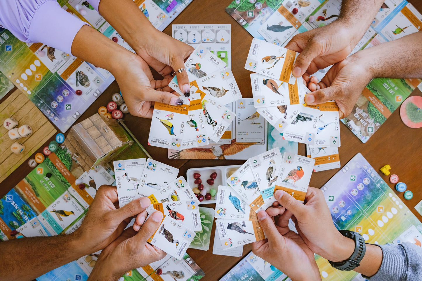 Stonemaier Games: Wingspan Asia by Elizabeth Hargrave | Standalone or Wingspan Expansion | 1-2 Players, 45-70 Mins