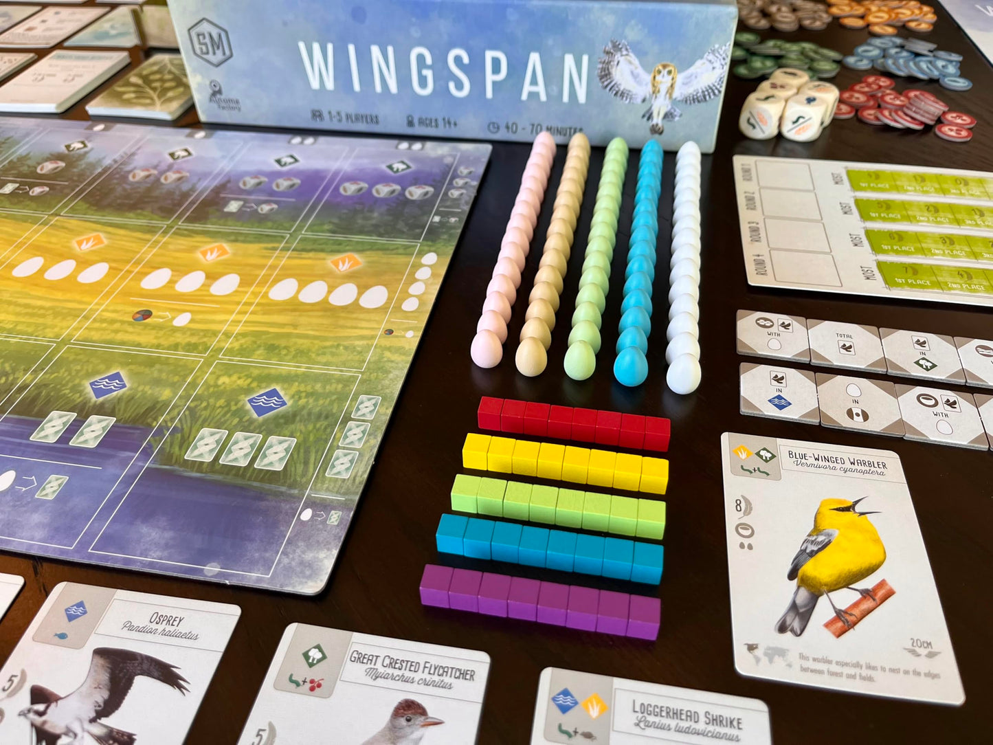 Stonemaier Wingspan (Base Game) – Award-Winning Bird-Collection Strategy for 1-5 Players