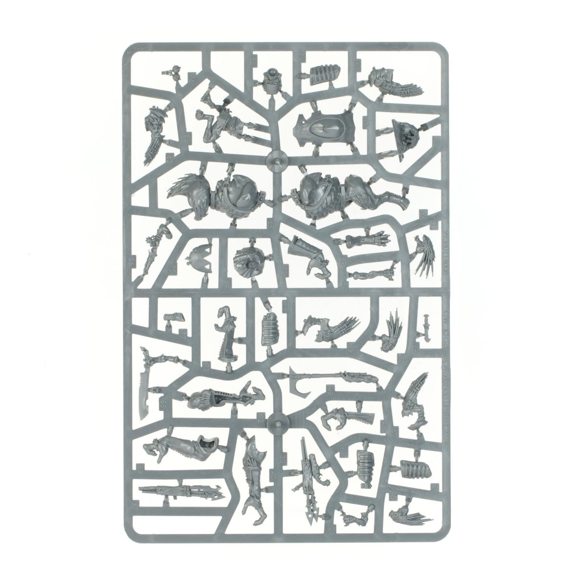 T'au Empire: Krootox Rampagers