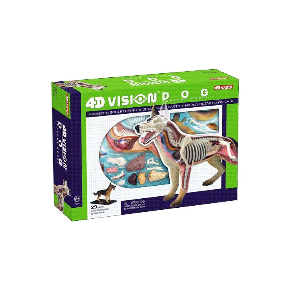 TEDCO 4D Vision Dog Anatomy Model – 28 Detachable Parts for Hands-On Learning