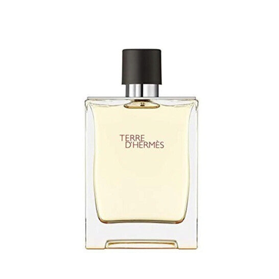 Hermes Terre d'Hermes Eau de Toilette 50ml Spray