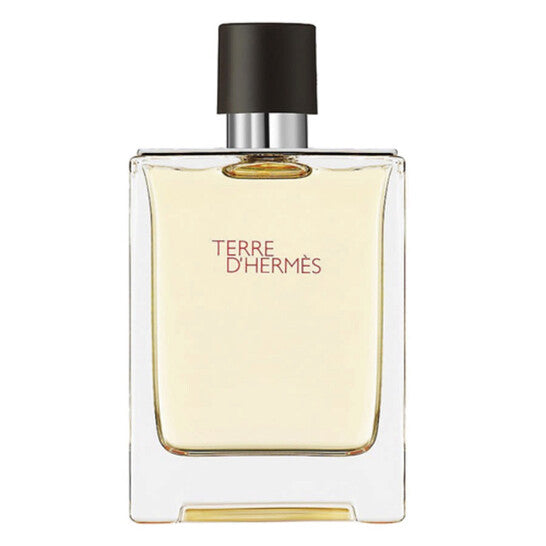 Hermes Terre d'Hermes Eau de Toilette 100ml Spray