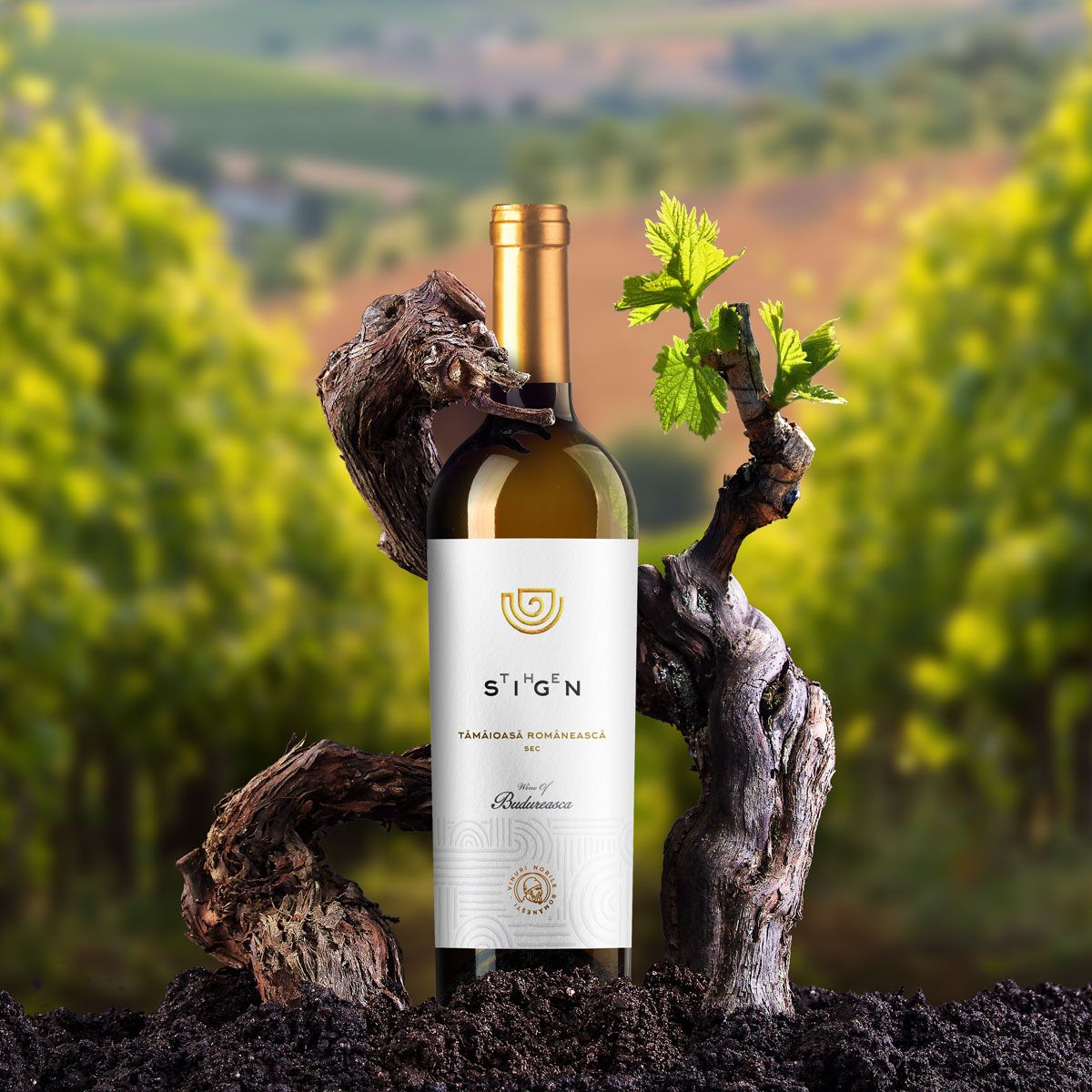 Budureasca The Sign Tamaioasa Romaneasca White Wine