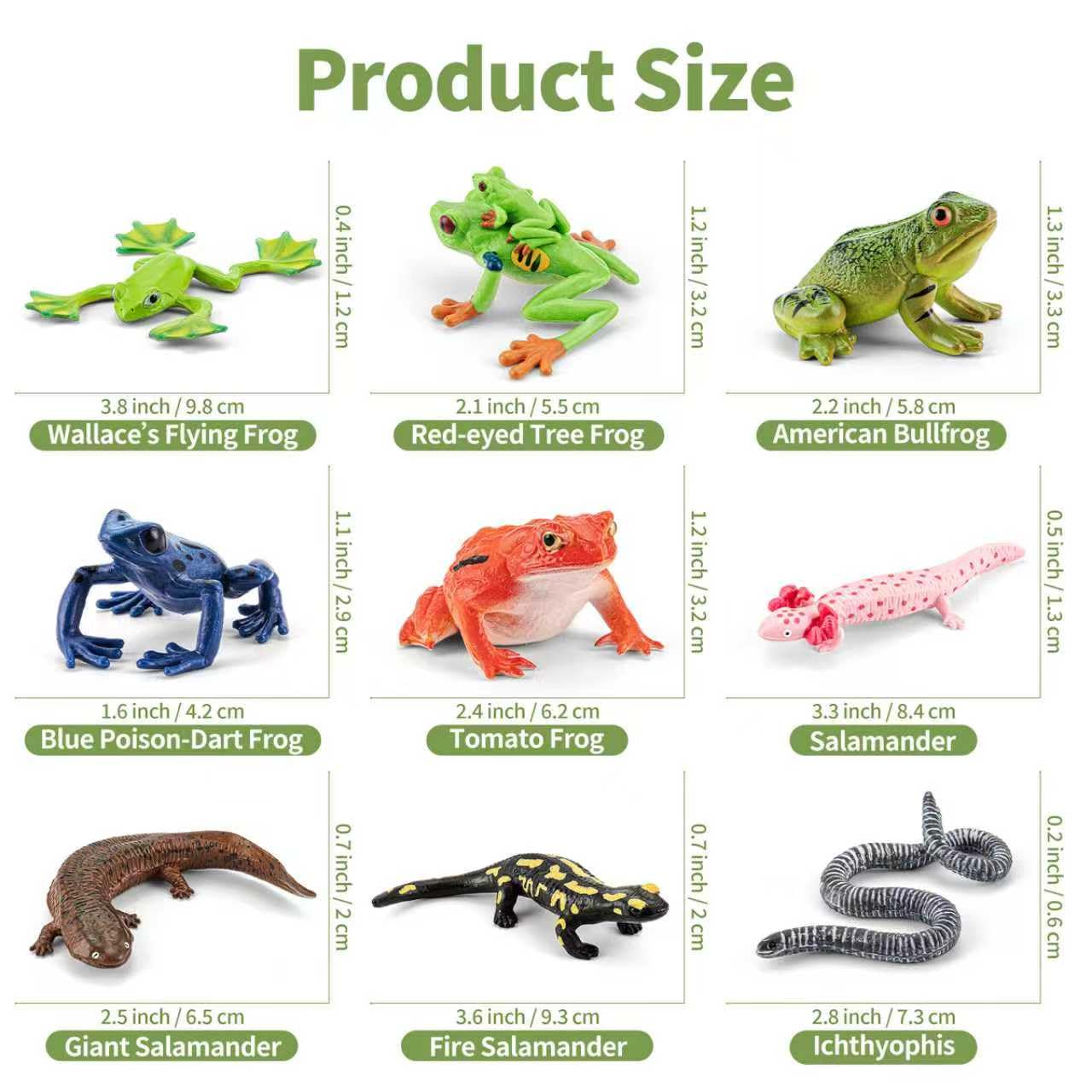 THINKBAY 9PCS Amphibian Figures – Realistic Rainforest Toys for Kids, Classroom Play & Party Favors
