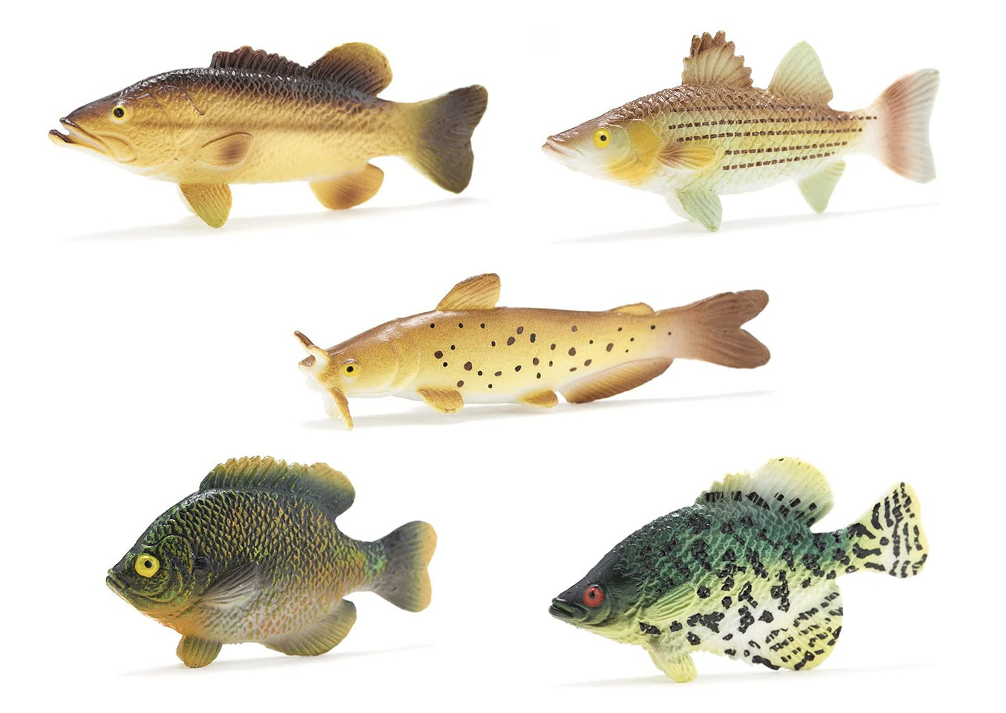 Toy Fish Factory American Angler Collection – 5 Realistic 3” Toy Fish Figurines